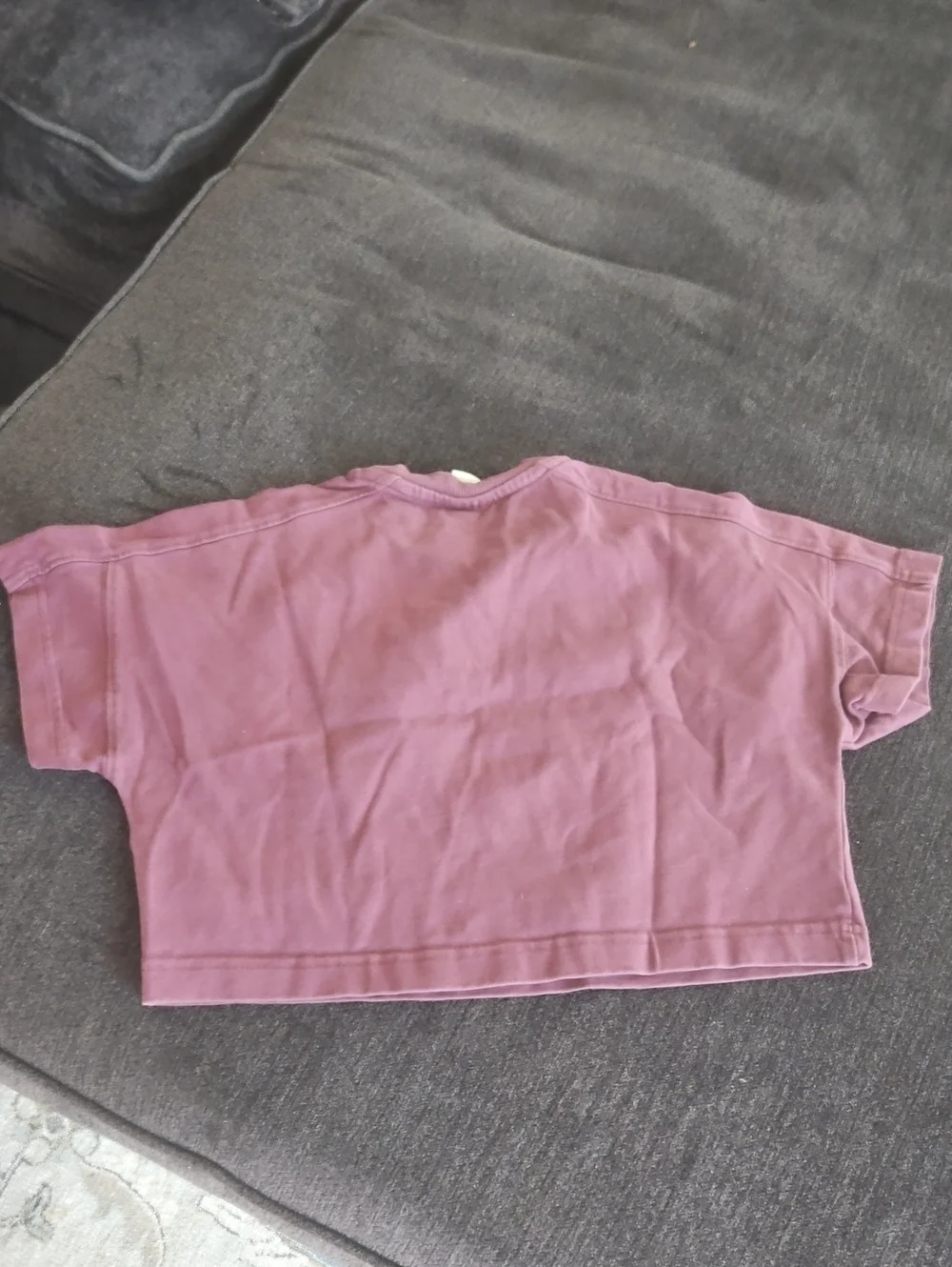 Zara Kids Cropped Crewneck Tee in Mauve